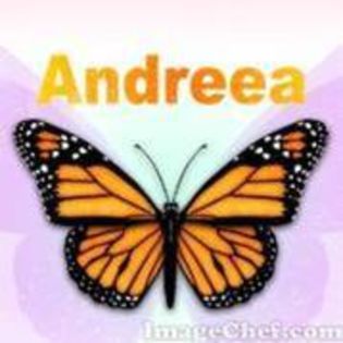 10465963_KJAYIDBEP - Avatar cu numele Andreea