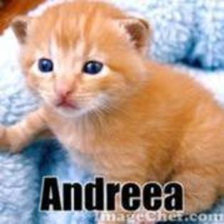 10466118_QAQBGNUGE - Avatar cu numele Andreea