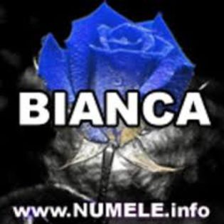 images (8) - Avatar cu numele Bianca