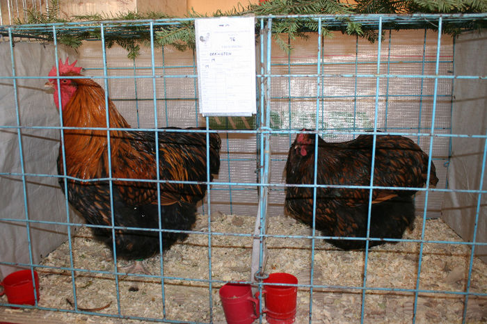IMG_0763 - EXPO PAS BUCOVINA 10-12 ianuarie 2014