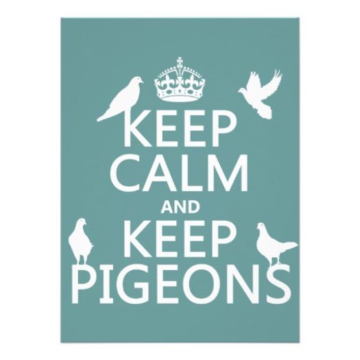keep_calm_and_keep_pigeons_all_colours_invitation-r676edf1da75f43a6a27e176b9747a45c_imteq_8byvr_512 - 2014