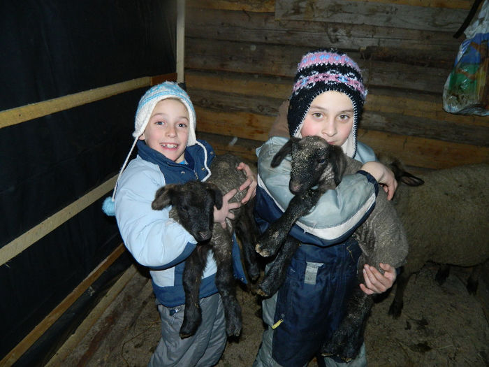 Fenykep eszter 203 - Animale ce detin 2014 la noua ferma