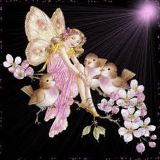 images