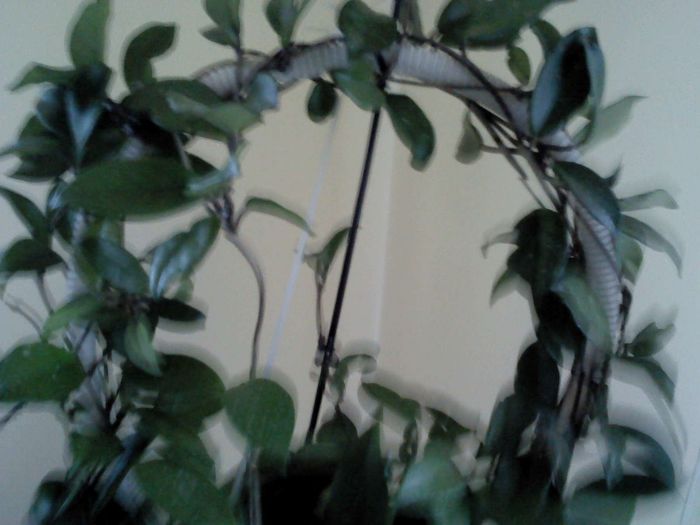 DSC00276