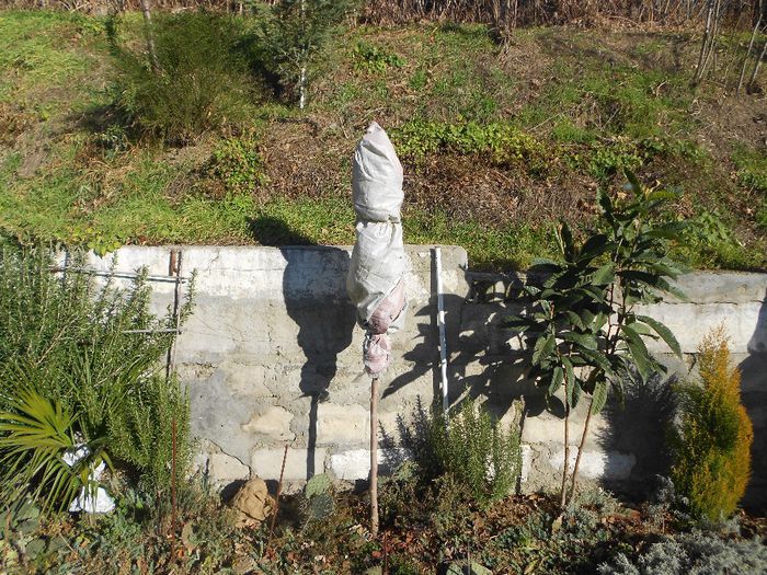  - GRADINA MEA  SI DE VANZARE