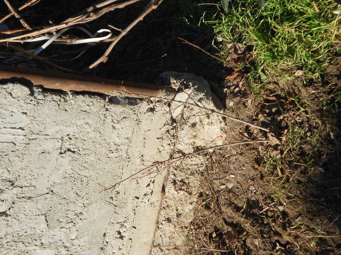 ucii 053 - GRADINA MEA  SI DE VANZARE