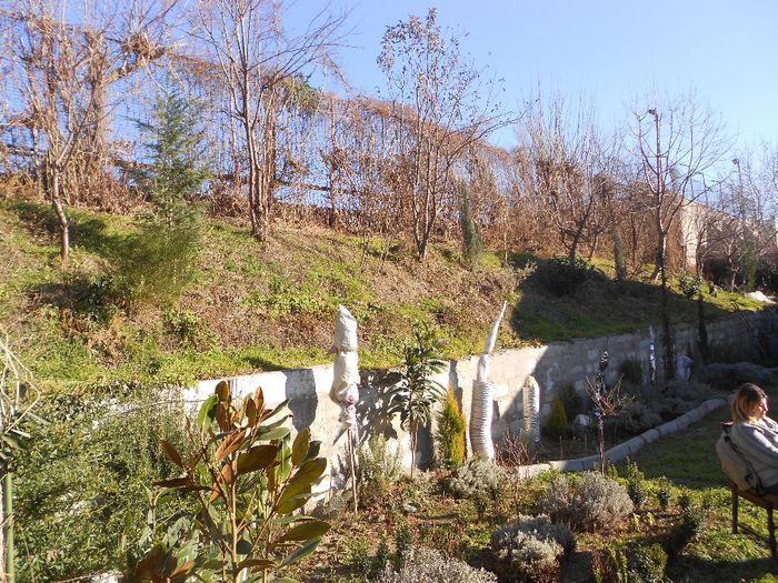 VEDERE TRANSVERSALA A GRADINII - GRADINA MEA  SI DE VANZARE