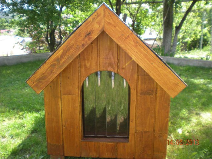 DSCN6018 - 1 Custi cotete lemn --- REALIZATE