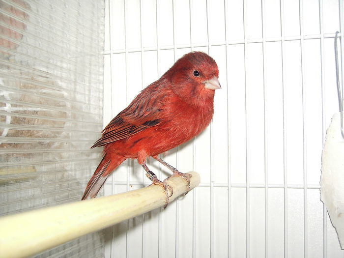 Locu 1 Bucuresti 2013