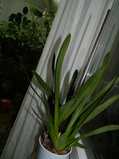 DSCN0849