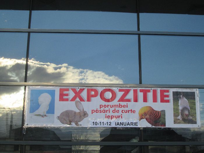 IMG_2021 - Expo-Pas Suceava Editia 10-12 Ianuarie 2014