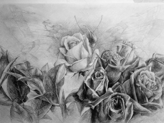 1544480_344341462372301_327900551_n