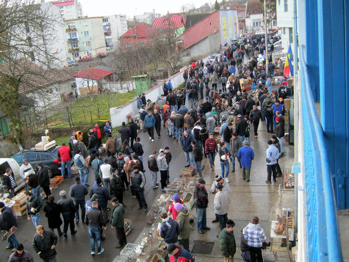 TARG Expo.TARNAVENI 2014