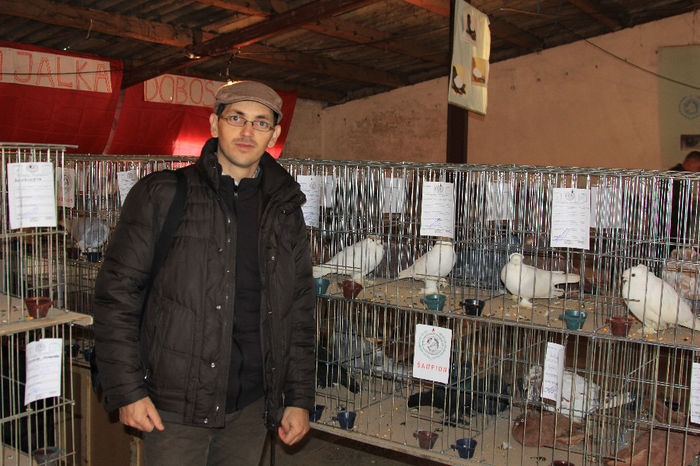 Alaturi de porumbeii expusi - 1 EXPO KOVACICA SERBIA 2014