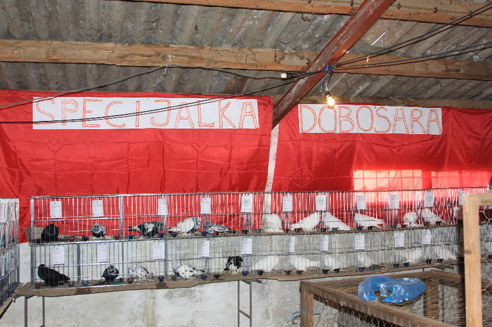 Expozitie speciala de Tobosari - 1 EXPO KOVACICA SERBIA 2014
