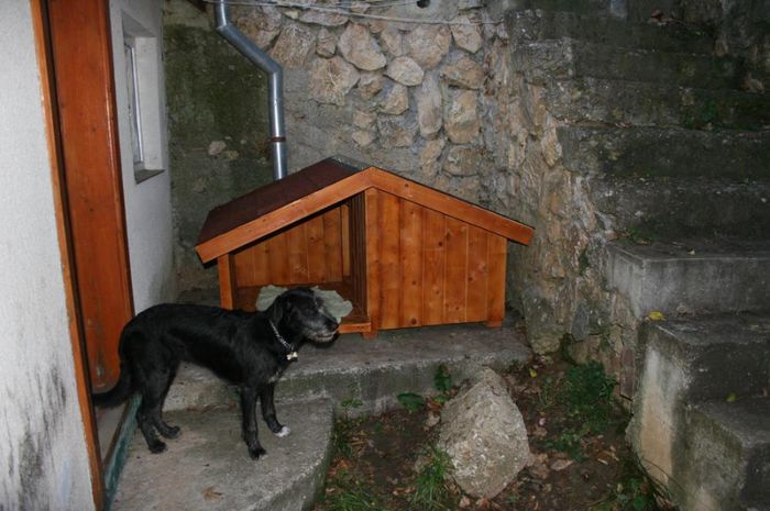 IMG_0788 - 1 Custi cotete lemn --- REALIZATE