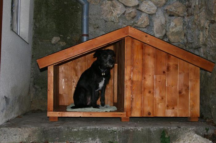 IMG_0792 - 1 Custi cotete lemn --- REALIZATE