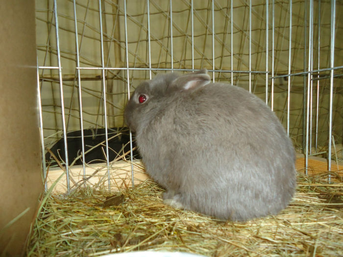DSC06416