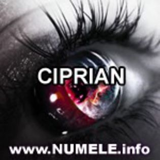 048-CIPRIAN avatare cu nume pentru mess - y__Avatare cu numele Ciprian