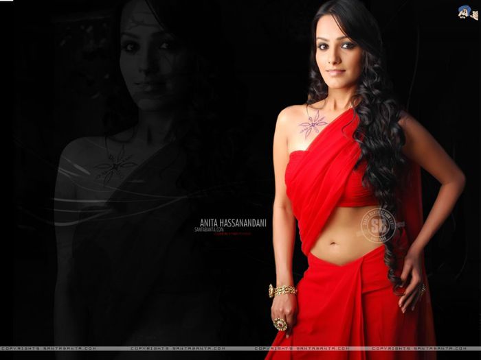 ani3a - Anita Hassanandani