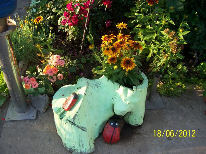 100_9940 - gradina mea de visssssssssssss