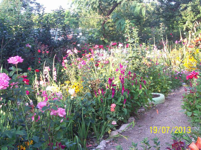 101_0635 - gradina mea de visssssssssssss