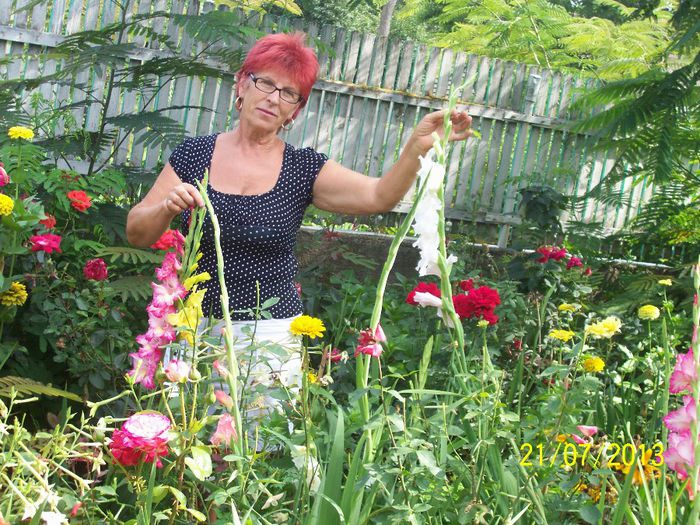 101_0804 - gradina mea de visssssssssssss