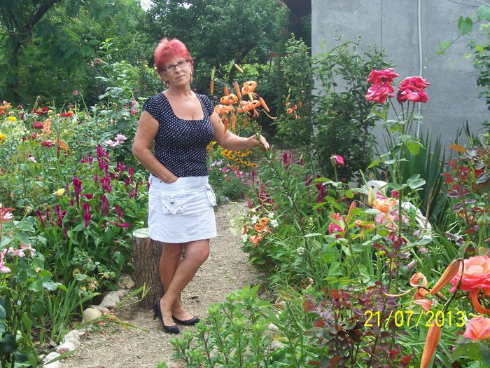 101_0820 - gradina mea de visssssssssssss