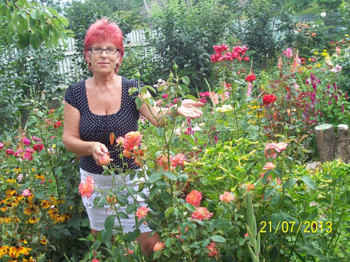 101_0823 - gradina mea de visssssssssssss