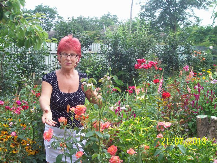 101_0824 - gradina mea de visssssssssssss