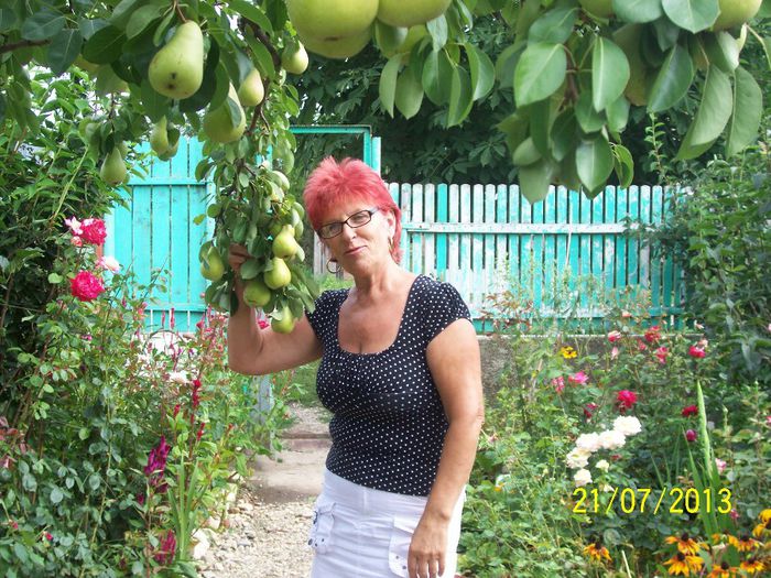101_0825 - gradina mea de visssssssssssss