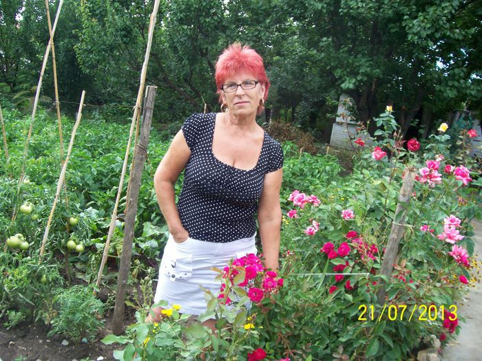 101_0844 - gradina mea de visssssssssssss