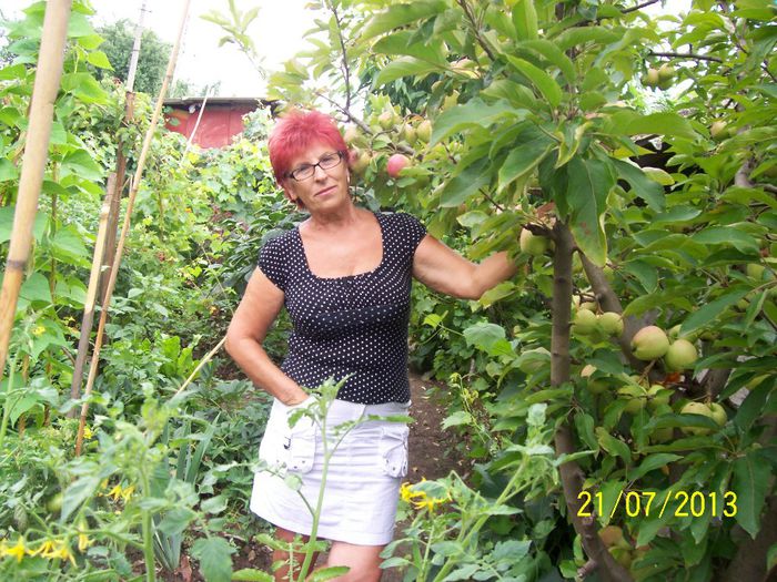 101_0845 - gradina mea de visssssssssssss