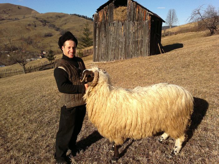 261220133227 - 1BERBECII MEI