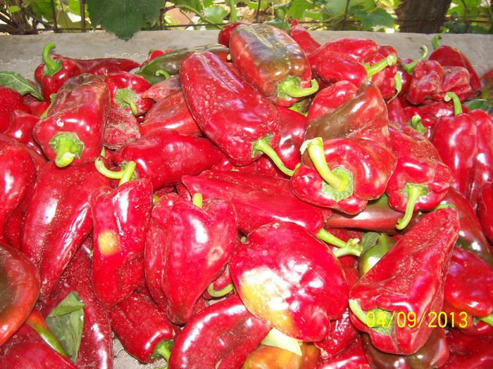 101_1410 - GRADINA CU FLORIIIIIIIII