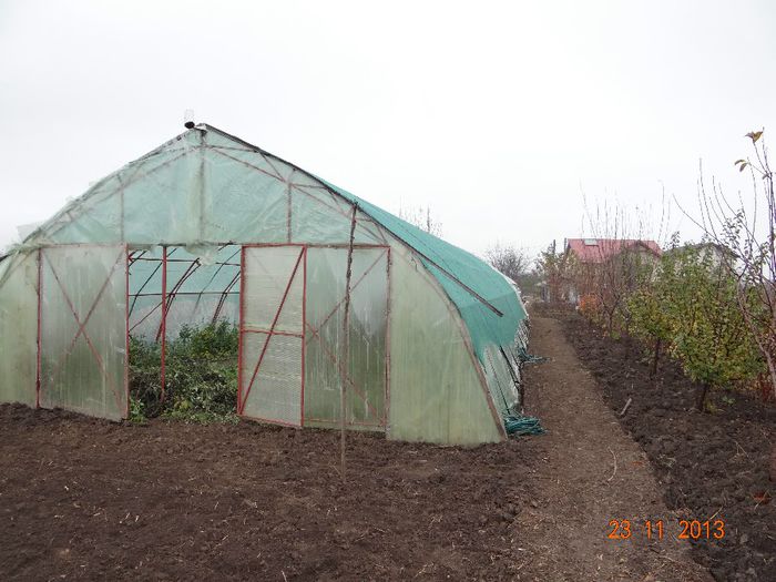DSC04506