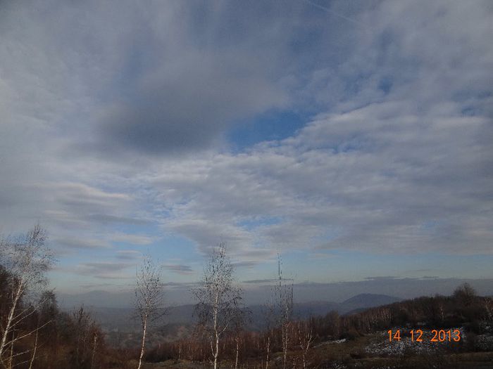DSC04678