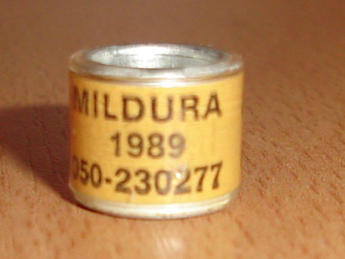 MILDURA 1989 - AUSTRALIA