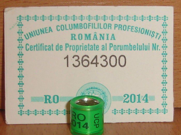 RO 20014 UCP - COLECTIE  DE INELE   ROMANIA