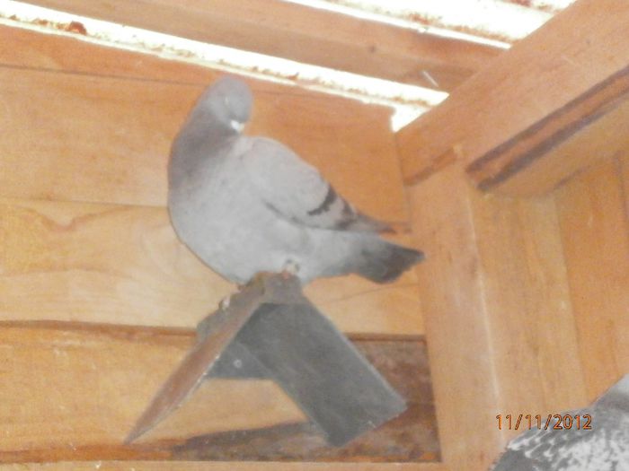 Picture 053