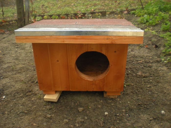 DSCN6982 - 1 Custi cotete lemn --- REALIZATE