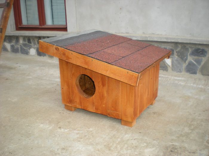 DSCN7315 - 1 Custi cotete lemn --- REALIZATE