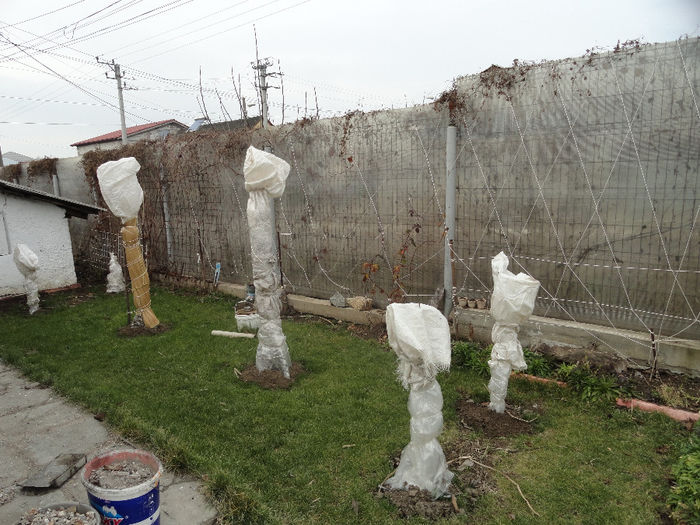 jujuba, kaki si smochini  iarna