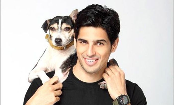 M_Id_399132_Sidharth_Malhotra - Siddharth Malhotra