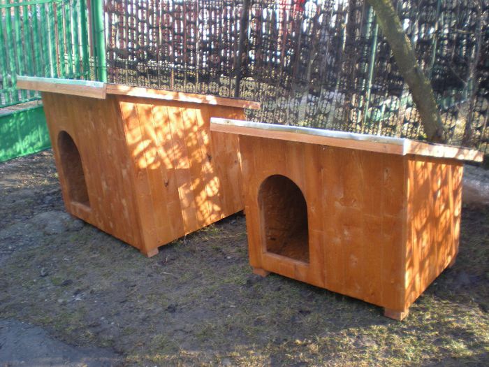 DSCN7447 - 1 Custi cotete lemn --- REALIZATE