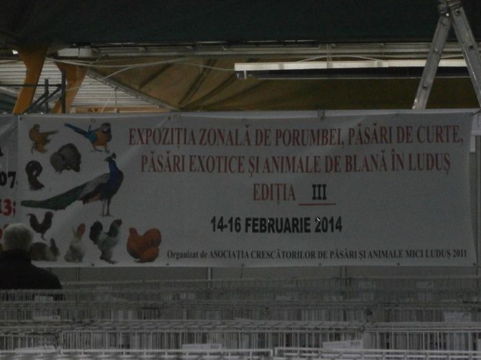 P1160047 - S- Expozitie Cluj 15-19 Ianuarie 2014