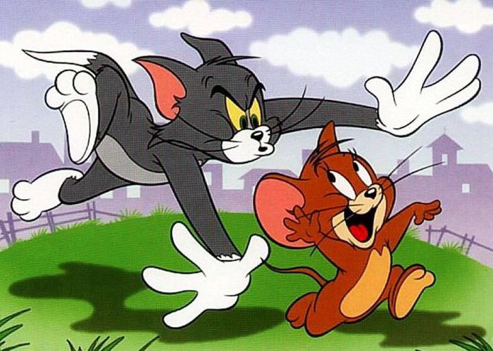 391122_351419991550143_561327259_n - Tom si Jerry