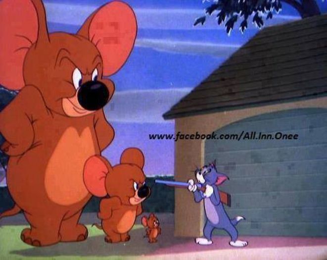 1002077_686401828051956_494472116_n - Tom si Jerry