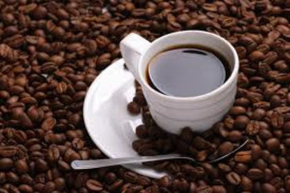 cafea - INGRASAMANT GRATUIT PENTRU PLANTE
