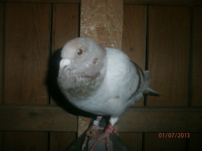P7010058